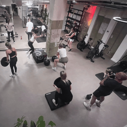 Gym where several colleagues are doing bootcamp-style exercises.
