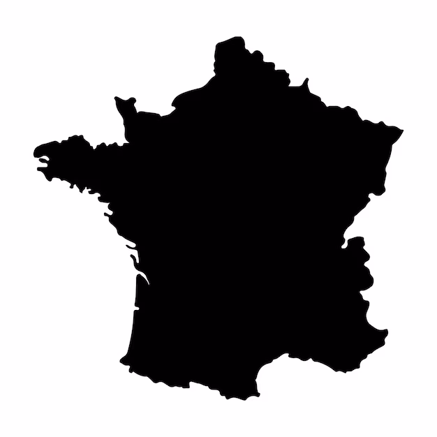 Black vector Map of France