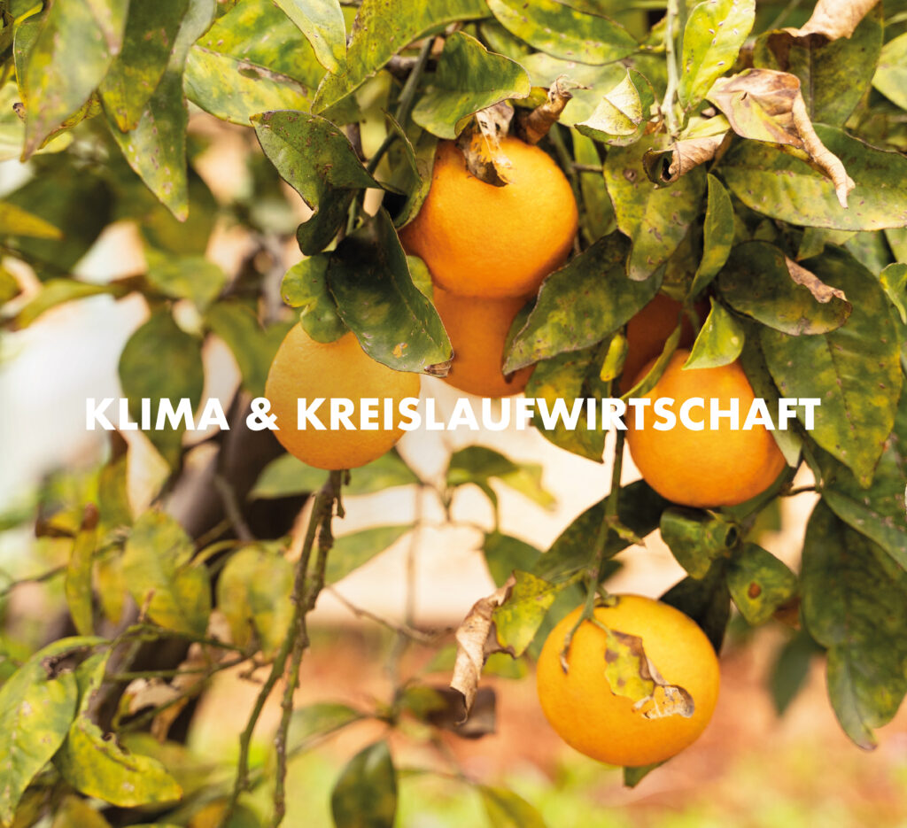 Duurzaamheid klimaat & circulariteit banner met sinaasappelboom