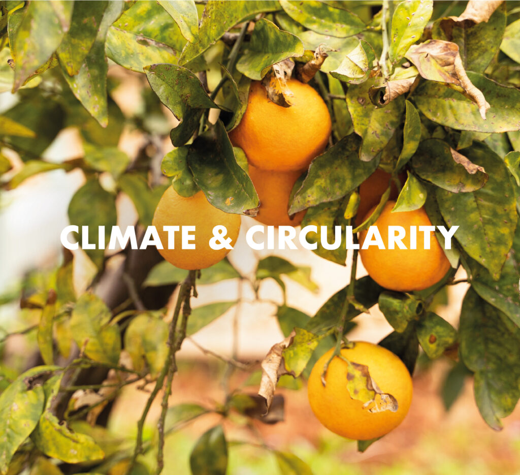 Duurzaamheid klimaat & circulariteit banner met sinaasappelboom
